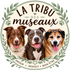 Ma boutique - Accueil