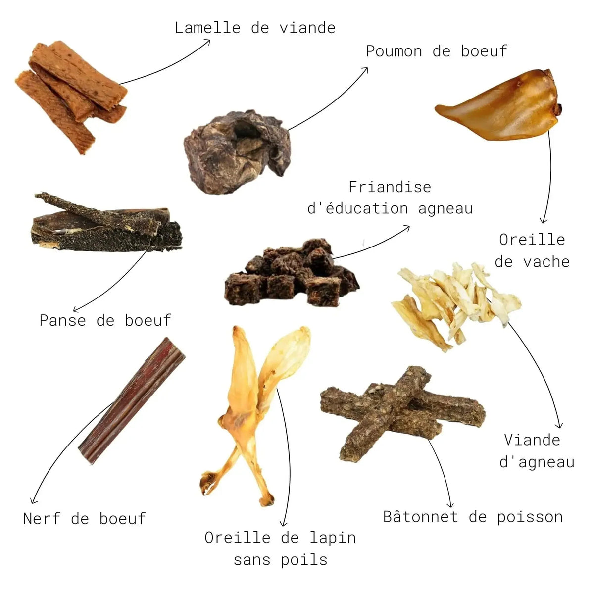 Box Mastication Chiot | Friandises naturelles découverte