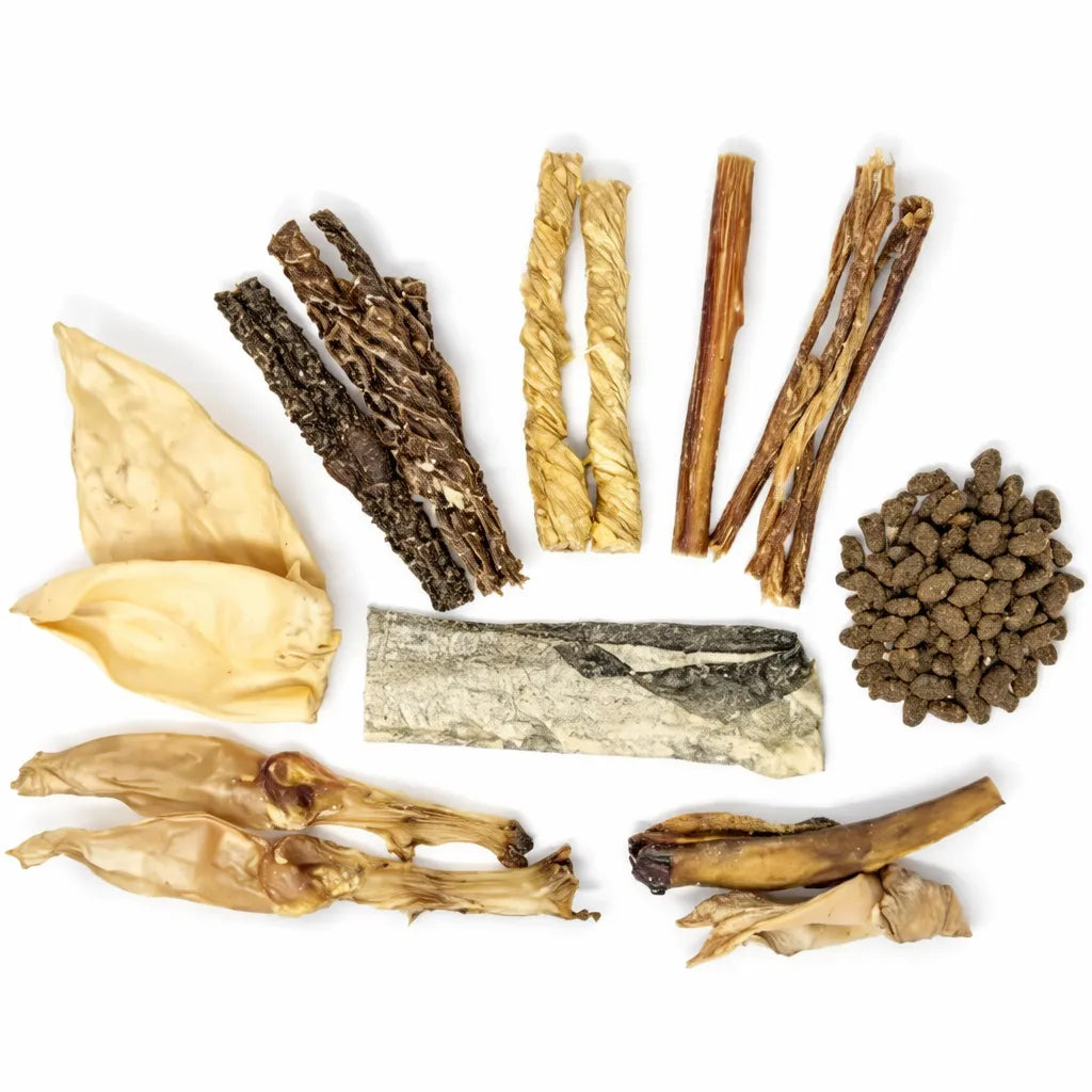 Box Mastication Chiot | Friandises naturelles découverte